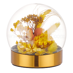 Couvercle de dôme en verre&nbsp;DJEW-WH0015-102B