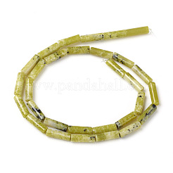 Fili di perle naturali di turchese giallo (diaspro)&nbsp;G-F247-18