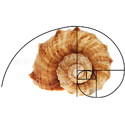 2 stücke 2 arten goldene verhältnis kunststoff fibonacci zusammensetzung sucher&nbsp;AJEW-DR0001-86