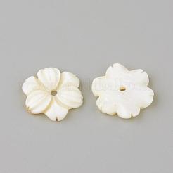 Бусины из натуральных пресноводных ракушек SHEL-Q008-53