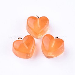 Подвески из смолы&nbsp;RESI-WH0008-12A