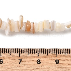 Нити бусин из натуральных пресноводных ракушек SHEL-B003-03