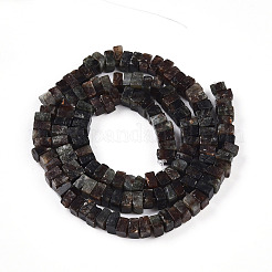 Природного биотита нитей бисера G-T140-54