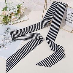 Ремни из полиэстера в полоску AJEW-WH20072-59A