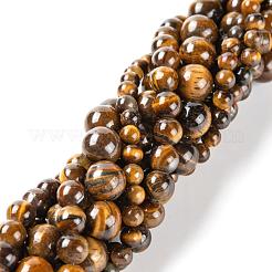 3 нить 3 размера 4 мм 6 мм 8 мм класс AB натуральный тигровый глаз круглые бусины нити&nbsp;G-FS0001-20