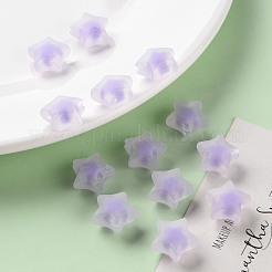 Прозрачные акриловые бусины&nbsp;TACR-S152-02C-SS2114