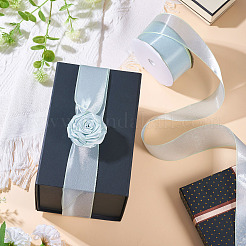 Полиэстер органза лента TAC0006-01C