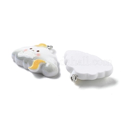Pendentifs en résine opaque thème météo&nbsp;RESI-R444-01B