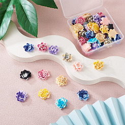 52 шт. 13-х цветные двухцветные кабошоны из непрозрачной смолы CRES-CD0001-08