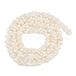 Perles de perles de coquille galvanoplastie&nbsp;SH-CBA94AD-01