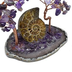 Украшения для витрин с натуральным аметистом пахира голая&nbsp;DJEW-K025-05D