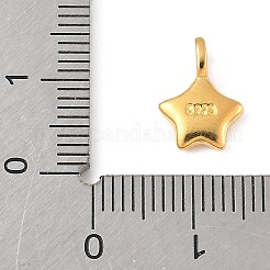 スターリングシルバーの笑顔のスターチャーム925個  スタンプ925個付き  ゴールドカラー  11.5x8.5x3mm  穴：2.5x1mm&nbsp;STER-R013-05G