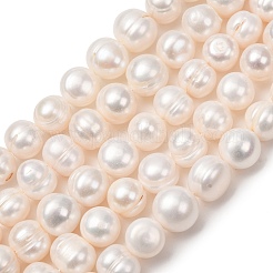 Fili di perle di perle d'acqua dolce coltivate naturali&nbsp;PA-CBABE82-12B