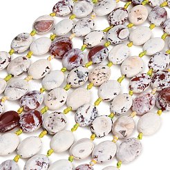 Naturelles feu crépitent agate perles brins&nbsp;GG-CBAE0EB-03B