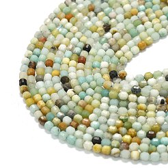 Натуральный цветок амазонитовые бусины пряди G-A260-A32-01