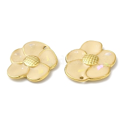 Подвески из нержавеющей стали 304 с эмалью&nbsp;STAS-K256-01G-03