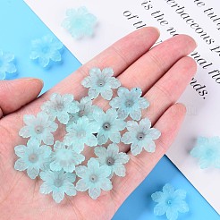 Прозрачные акриловые бусины&nbsp;MACR-S373-117-D07