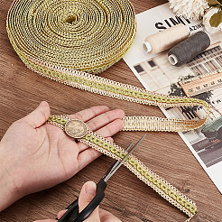 10 м полиэстеровая плетеная кружевная лента OCOR-GA0002-02