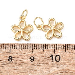 Латунные подвески&nbsp;KK-C143-19G