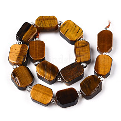 Природных тигровый глаз бисер нитей G-C098-A23-01