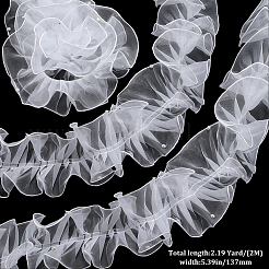 Nastro di organza da 2 m&nbsp;DIY-WH20031-057B