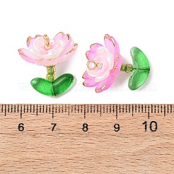 Прозрачные акриловые подвески&nbsp;PALLOY-MZ00823-01