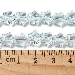 Peinture de cuisson perles de verre transparentes brins&nbsp;X1-DGLA-A07-T8mm-KD04