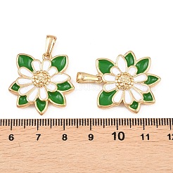 Подвески из нержавеющей стали 304 с эмалью&nbsp;STAS-P438-12C-G