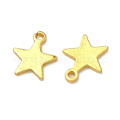 Aluminium Anhänger & Charms&nbsp;PALLOY-F321-01B-G