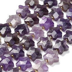 Natürlichen Amethyst Perlen Stränge&nbsp;G-L657-A08-01