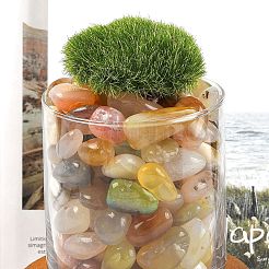 Окрашенные и нагретые натуральные бусины из агата&nbsp;G-J402-03C-02