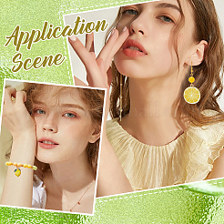 40шт 2 стиля подвески из сплава с эмалью ENAM-SC0005-71