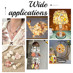 48 шт. поделки из натуральных ракушек DJEW-AR0001-12