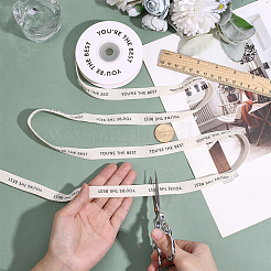 10 ярд репсовой ленты из полиэстера&nbsp;OCOR-WH0077-095