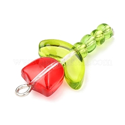 5 шт. 5-х цветные прозрачные подвески-лэмпворк PALLOY-JF04462-02