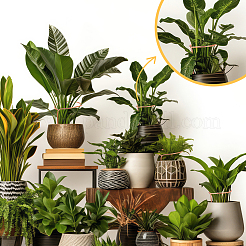12 pièces 3 styles de support de croissance des plantes en cuivre&nbsp;DIY-NB00004