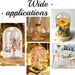 Стеклянный купол&nbsp;ODIS-WH0010-41B