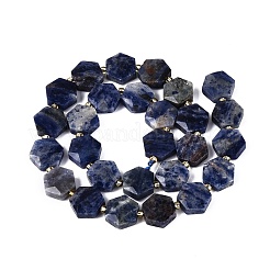 Natur Sodalith Perlen Stränge&nbsp;G-N368-01A-04