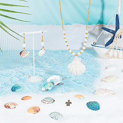 200 г наборы бусин из ракушек&nbsp;BSHE-NB0001-30