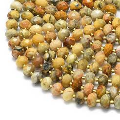 Нити бусин натурального желтого агата G-P573-A20-01