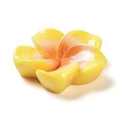 Непрозрачные кабошоны из смолы&nbsp;RESI-G068-02G