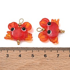 Pendelleuchten aus Edelstahl 304 und Glas&nbsp;GL-CBADB9D-01G-A