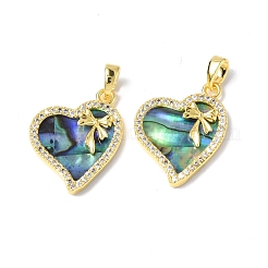 Кулон с панцирем&nbsp;KK-P223-11G