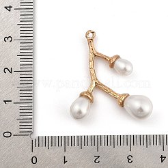 Подвески из цинкового сплава&nbsp;PALLOY-D311-03KCG