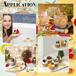 Kunstobst & Eis&nbsp;DJEW-PH0001-16