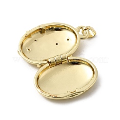 Латунные подвески с микропаве из прозрачного кубического циркония&nbsp;KK-L262-07G