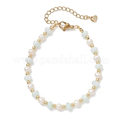 Браслеты из натуральных пресноводных ракушек и натурального культивированного пресноводного жемчуга в форме ронделей для женщин.&nbsp;BJEW-JB13281