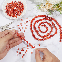 天然淡水シェルビーズ連売り  チップ  染め  レッド  5~8x5~8x2~6mm  穴：1mm  30.71~32.28''（78~82センチメートル）&nbsp;BSHE-WH0006-05C