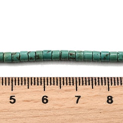 Природные Говлит бисер нитей G-F791-A01