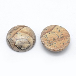 Natur Bildjaspisses cabochons&nbsp;G-E492-A-10